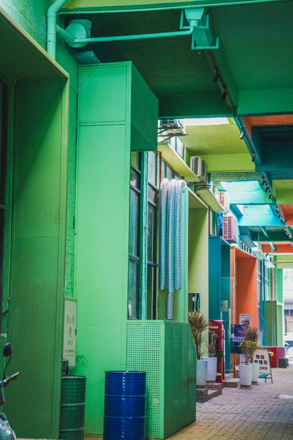 从老旧厂房到艺术绿洲 广州江畔创意园区的办公打卡新体验