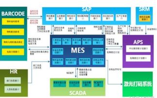 配置管理与数据采集软件在办公打卡系统中的应用与实施